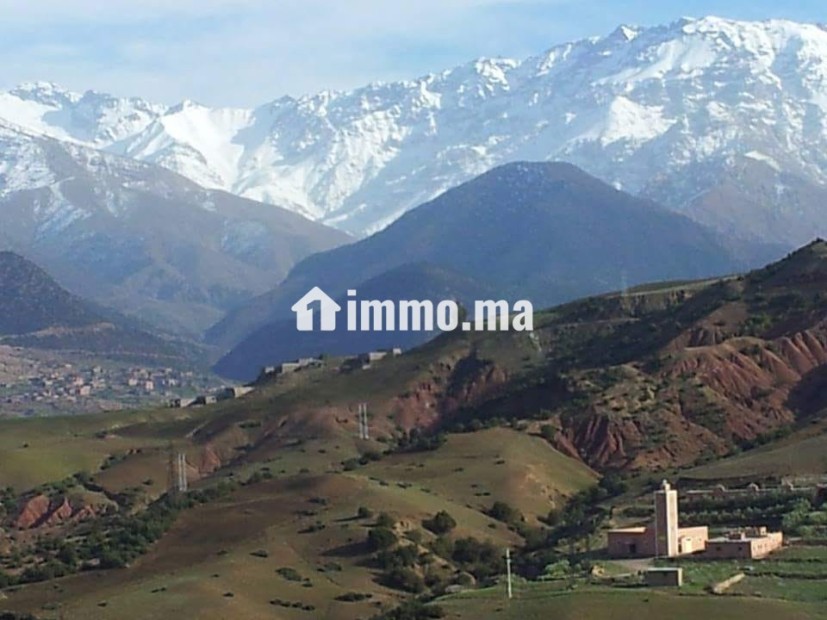 PROJET TOURISTIQUE SUR TERRAIN ASNI - Vente Immobilier - Marrakech - photo 2