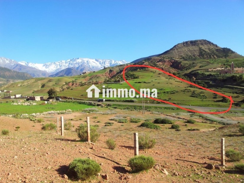 PROJET TOURISTIQUE SUR TERRAIN ASNI - Vente Immobilier - Marrakech - photo 3