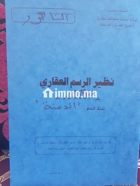 Terrain a vendre nador region iaazanan bouyafer - Vente Immobilier - Nador - photo 2