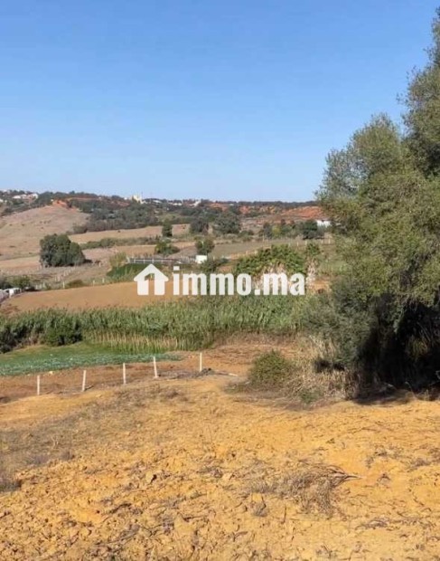 أرض محفظة للبيع 10530 متر – موقع مزيان - Vente Immobilier - Larache - photo 1