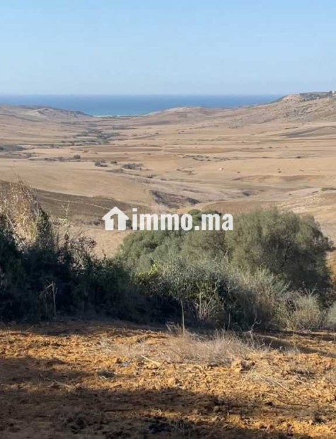 أرض محفظة للبيع 10530 متر – موقع مزيان - Vente Immobilier - Larache - photo 2