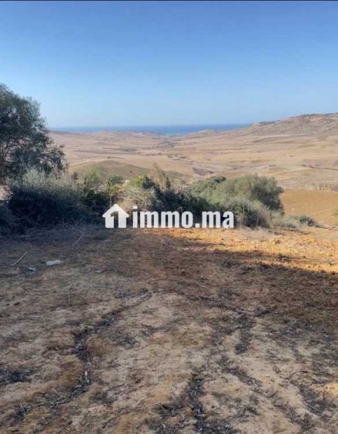 أرض محفظة للبيع 10530 متر – موقع مزيان - Vente Immobilier - Larache - photo 3