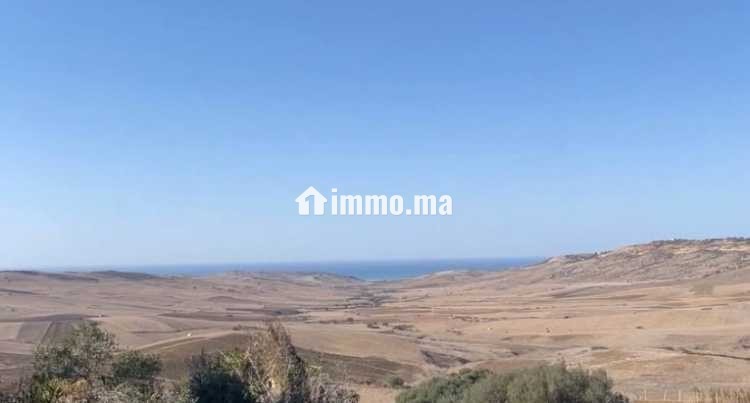 أرض محفظة للبيع 10530 متر – موقع مزيان - Vente Immobilier - Larache - photo 4