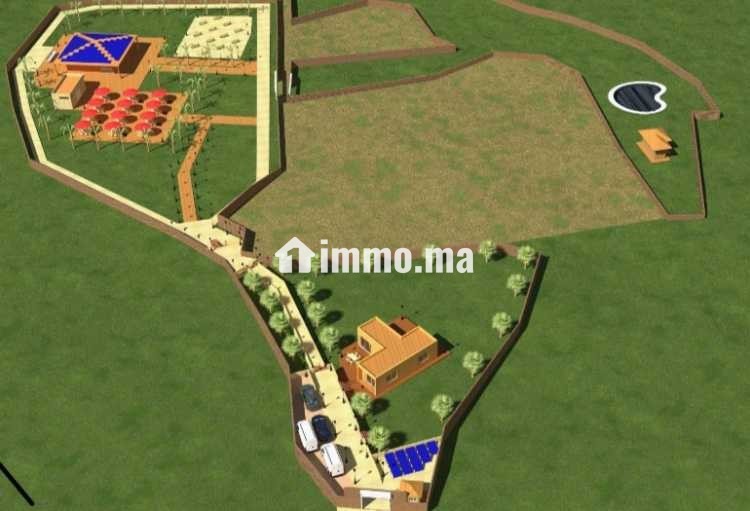 أرض محفظة للبيع 10530 متر – موقع مزيان - Vente Immobilier - Larache - photo 6