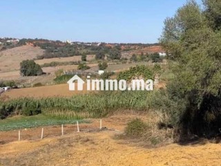 أرض محفظة للبيع 10530 متر – موقع مزيان - Terrain à vendre - Larache