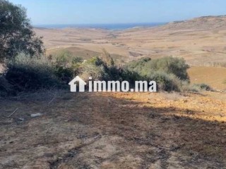 أرض محفظة للبيع 10530 متر – موقع مزيان - Terrain à vendre - Larache