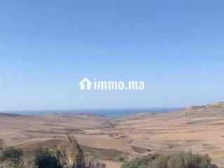 أرض محفظة للبيع 10530 متر – موقع مزيان - Terrain à vendre - Larache