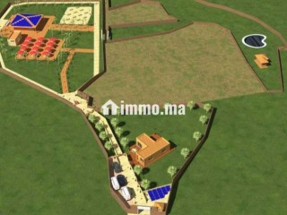 أرض محفظة للبيع 10530 متر – موقع مزيان - Terrain à vendre - Larache