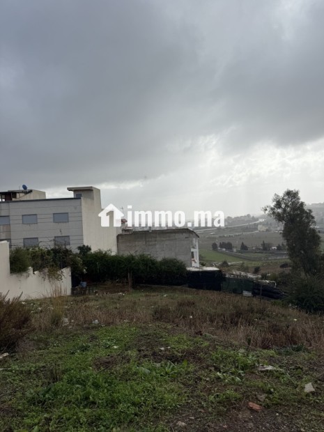 A VENDRE deux Terrain titres à mallalienne Tetouan pour une construction d’un R+2 - Vente Immobilier - Tetouan - photo 4