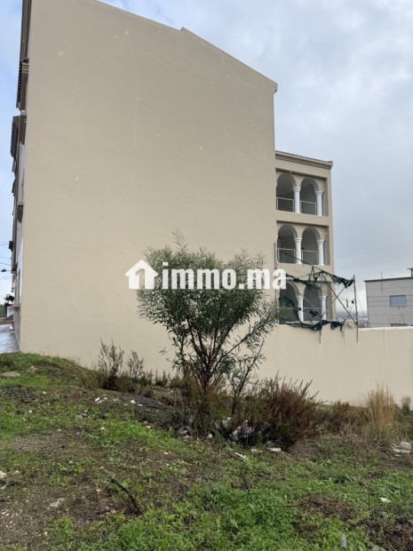 A VENDRE deux Terrain titres à mallalienne Tetouan pour une construction d’un R+2 - Vente Immobilier - Tetouan - photo 5