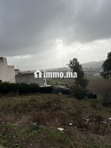A VENDRE deux Terrain titres à mallalienne Tetouan pour une construction d’un R+2 - Vente Immobilier - Tetouan - photo 8