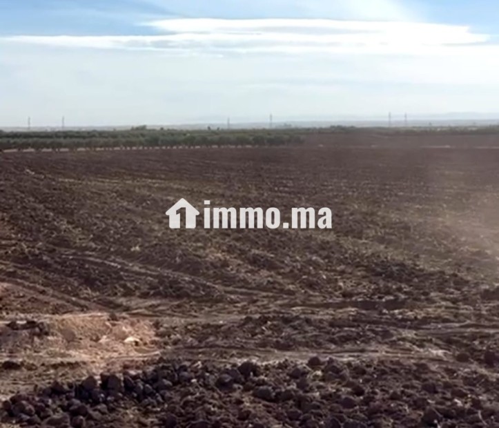 أرض زراعية للبيع - Vente Immobilier - Meknes - photo 2