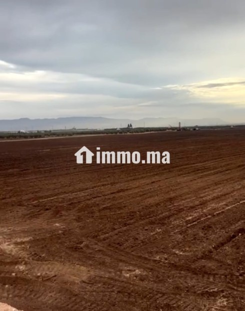 أرض زراعية للبيع - Vente Immobilier - Meknes - photo 3