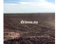 أرض زراعية للبيع - miniature 2