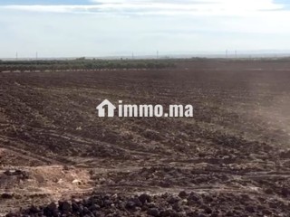 أرض زراعية للبيع - Terrain à vendre - Meknes