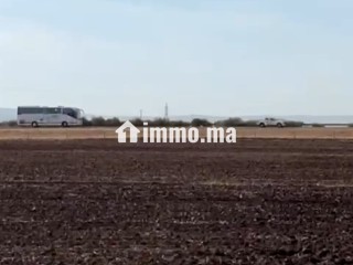 أرض زراعية للبيع - Terrain à vendre - Meknes