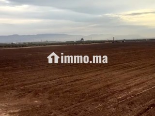 أرض زراعية للبيع - Terrain à vendre - Meknes