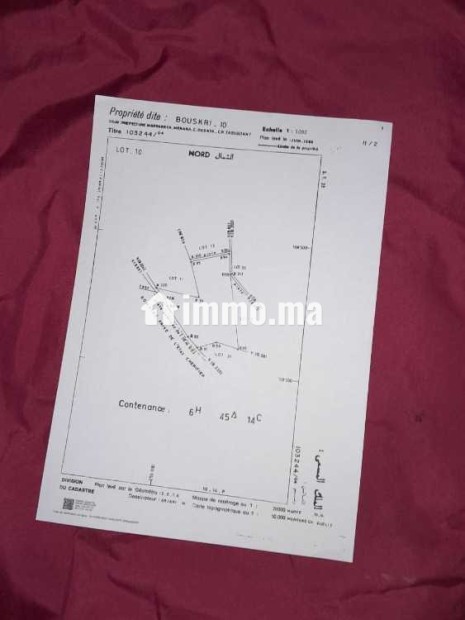 6 hectares titrés zone villas - Vente Immobilier - Marrakech - photo 1