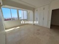 bel-apt-avec-terrasse-ensoleille-dernier-etage-small-4