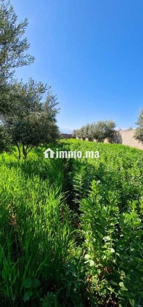 Ferme titré avec villa et piscine privée a vendre - Vente Immobilier - Marrakech - photo 3