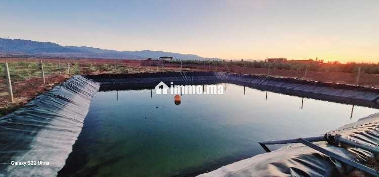 Ferme titré avec villa et piscine privée a vendre - Vente Immobilier - Marrakech - photo 4