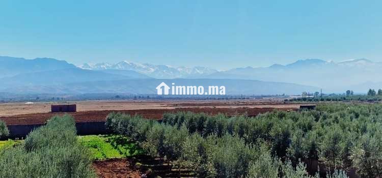 Ferme titré avec villa et piscine privée a vendre - Vente Immobilier - Marrakech - photo 6