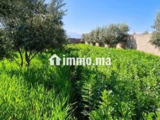 Ferme titré avec villa et piscine privée a vendre - Terrain à vendre - Marrakech
