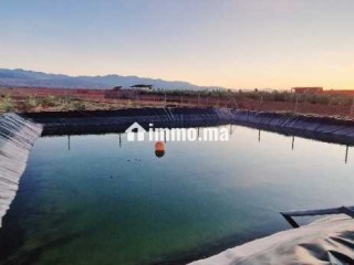 Ferme titré avec villa et piscine privée a vendre - Terrain à vendre - Marrakech