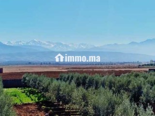 Ferme titré avec villa et piscine privée a vendre - Terrain à vendre - Marrakech