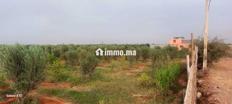 Terrain a vendre issen agadir - Vente Immobilier - Agadir - photo 1