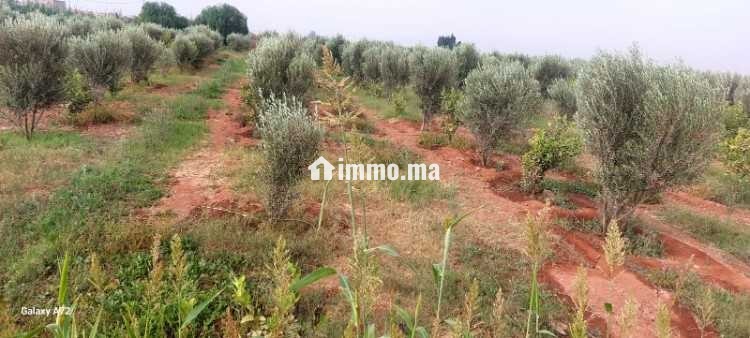 Terrain a vendre issen agadir - Vente Immobilier - Agadir - photo 3