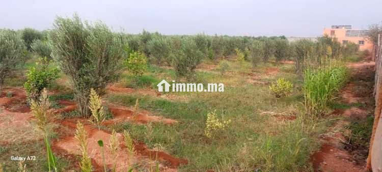 Terrain a vendre issen agadir - Vente Immobilier - Agadir - photo 6