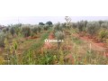 Terrain a vendre issen agadir - miniature 2
