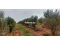 Terrain a vendre issen agadir - miniature 4