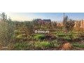 Terrain a vendre issen agadir - miniature 7