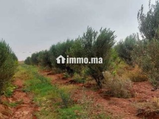 Terrain a vendre issen agadir - Terrain à vendre - Agadir