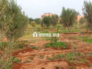 Terrain a vendre issen agadir - Terrain à vendre - Agadir