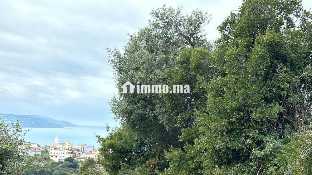 Terrain titré avec vue sur mer - Vente Immobilier - Tanger - photo 1