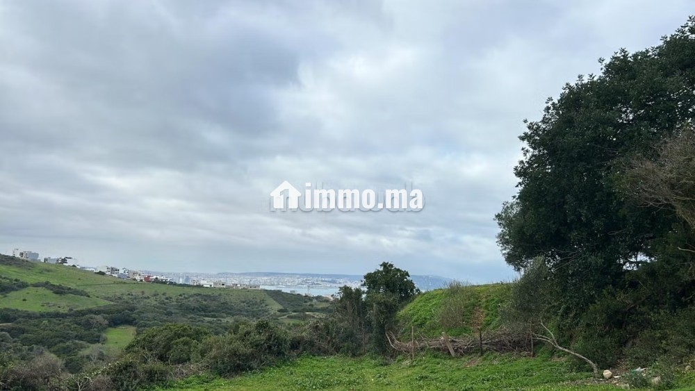Terrain titré avec vue sur mer - Vente Immobilier - Tanger - photo 2