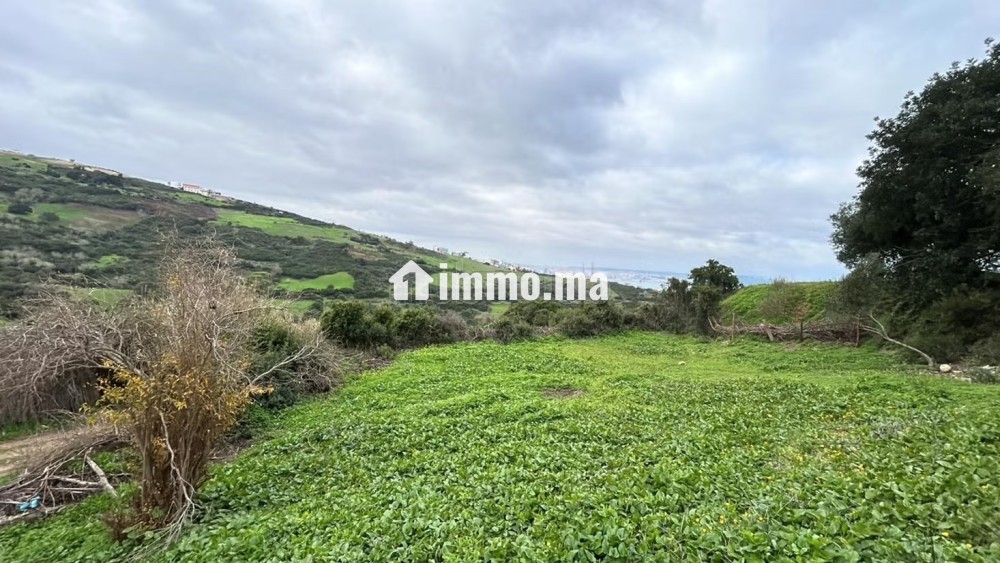 Terrain titré avec vue sur mer - Vente Immobilier - Tanger - photo 3