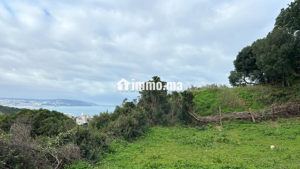 Terrain titré avec vue sur mer - Vente Immobilier - Tanger - photo 4