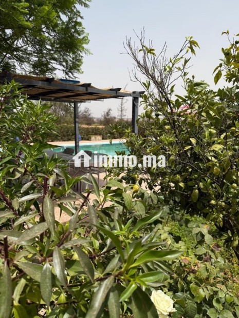 Riad Al Badii, un joyau touristique - Location Immobilier - Essaouira - photo 8