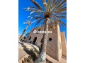 Riad Al Badii, un joyau touristique - miniature 1