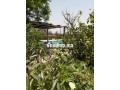 Riad Al Badii, un joyau touristique - miniature 8