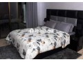 tres-appart-a-louer-marrakech-guilez-small-1