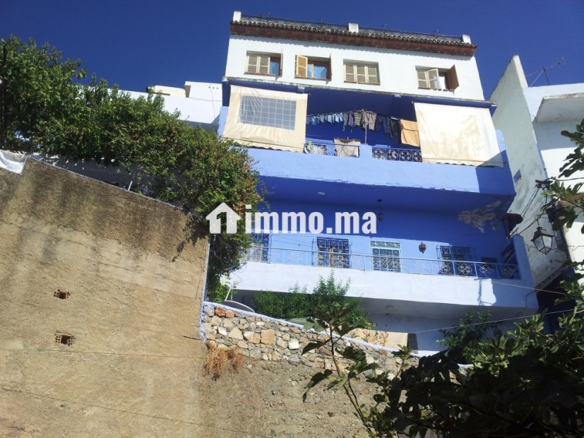 Vente terrain chefchaoune - Vente Immobilier - Chefchaouen - photo 8