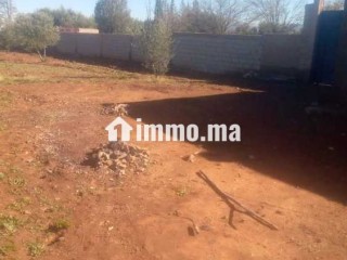 أراضي فلاحية للبيع - Terrain à vendre - Marrakech
