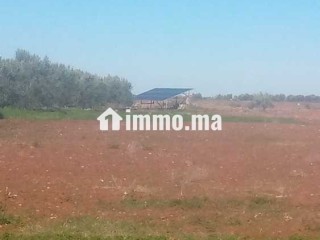 أراضي فلاحية للبيع - Terrain à vendre - Marrakech