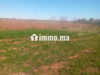 أراضي فلاحية للبيع - Terrain à vendre - Marrakech