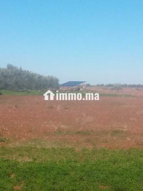 Terrain à vendre - Vente Immobilier - Marrakech - photo 2